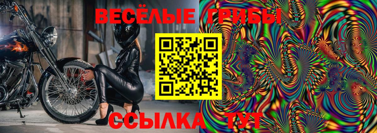 Галлюциногенные грибы Cubensis  Псилоцибиновые грибы ЛСД  Алексин  Вход с VPN 