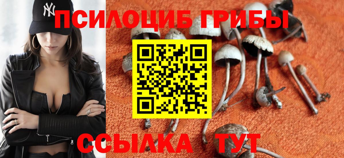 Псилоцибиновые грибы Psilocybine cubensis Алексин